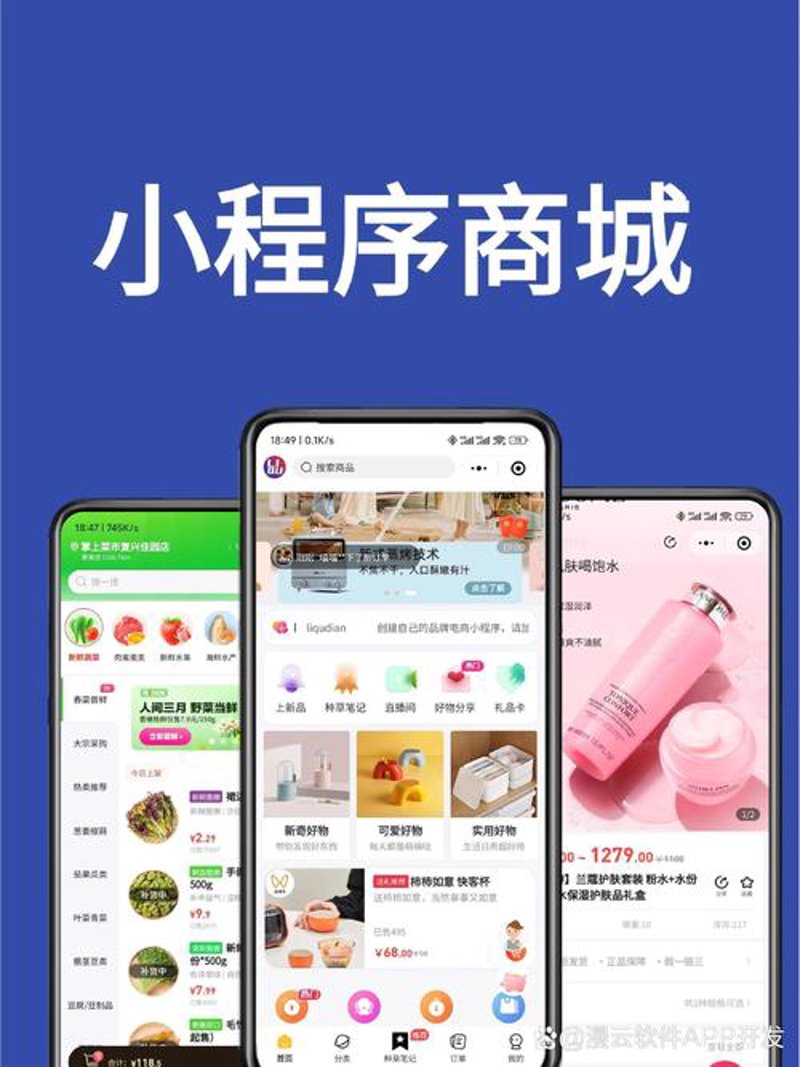 Web应用开发